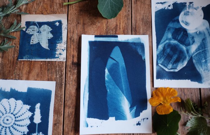 Mindful Nature Cyanotypes with Zoe Arnott